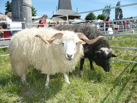 Pôvodná valaška :: Slow Food Banská Bystrica